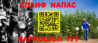 стафф Гусиноозёрск