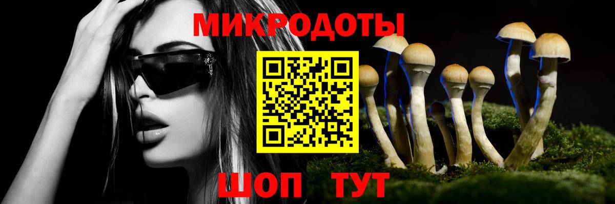 Псилоцибиновые грибы мицелий Михайловка