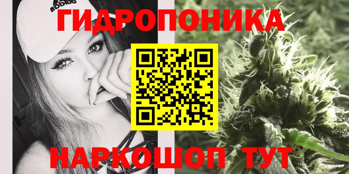 Конопля ГИДРОПОН  МАРИХУАНА индика  Вход с VPN  Михайловка  Конопля тримм 
